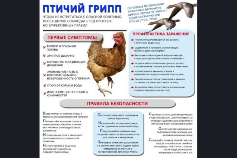 Об эпизоотической ситуации по высокопатогенному гриппу птиц.. Об эпизоотической ситуации по высокопатогенному гриппу птиц..