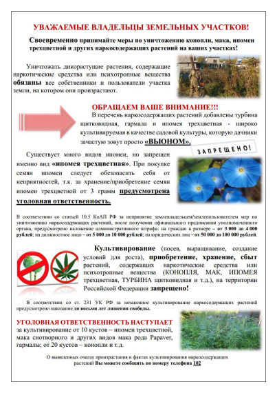 НЕТ Наркотикам. НЕТ Наркотикам.